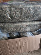 Siano i zioła dla królika i innych gryzoni