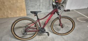 Rower MTB CUBE Access EXC 13,5
