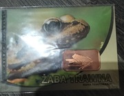 Żaba trawna - koń - Sztabka miedzi 999 - blister -1 uncja - Zwierzęta płazy