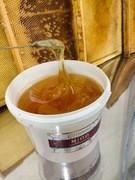 Miód 4kg wielokwiatowy w wiaderku wiadrze z roztocza od pszczelarza smart