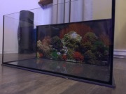 Akwarium 54l - 60cm x 30cm x 30cm