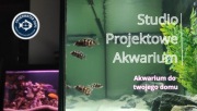 Profesjonalne zakładanie akwarium – projekt + montaż (woj. Lubelskie)