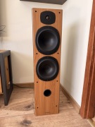 Kolumny Tannoy Mercury M5