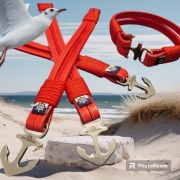 Orginalna brabsoletka Old Skipper