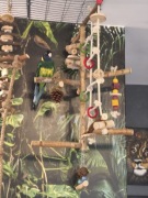 Zabawka dla papug własnoręcznie wykonane 