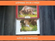 puzzle 500 castorland kompletne ułożone pies
