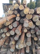 Steple budowlane, kolki