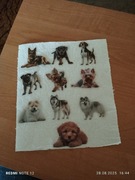 Naklejki zwierzę Psy (2)