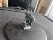 Warriors of Chaos Champion of Chaos