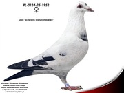 Para-Scherens-Vangrambreren