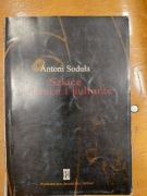 Szkice o sztuce i kulturze. Antoni Soduła