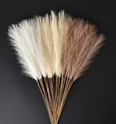 Trawa Pampasowa Duża Puszysta – Beżowa Dekoracja BOHO (Zestaw 24szt) 55cm
