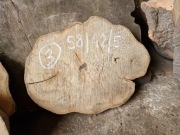 Plaster Drewna Grab 50-60 cm  Wysuszony Blat Stolik Stół DIY