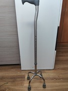 Czworonóg  , solidny