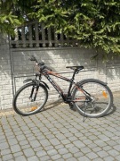 Rower Alpina Eco M20