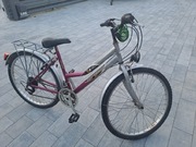 Rower Damka 24 cale