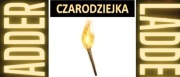 D2R ROTW CZARODZIEJKA Pochodnia !19-19! Sorc Torch LADDER DIABLO2 PC