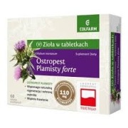 Ostropest plamisty forte, tabletki, 60 szt.