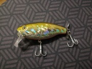 Deps buzzjet jr kopia