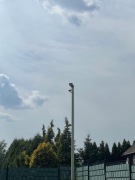 Słup Oświetleniowy Kamery Lampy Internet