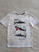 Kolorowa bawełniana bluzka w rekiny ryby magiczne cekiny H&M 134  -140