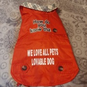 York Champion_kurtka_ deszcz_mały piesek_ 