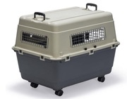 - 40% taniej* nowy transporter 300zł