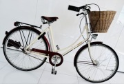 Rower PASHLEY BRITANNIA Platinium Champagne 20