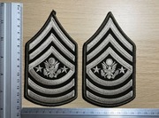 Naszywka - US Army - Sergeant Major Of The Army E-9 (Green/White) - para