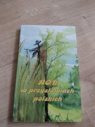 Rok w przysłowiach polskich.