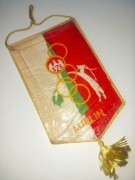 Proporczyk SzS Szkolny Związek Sportowy Lublin Herb 