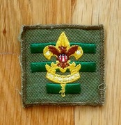 USA AMERYKAŃSKA NASZYWKA PATCH SKAUTÓW LILIA KWADRAT LATA 60