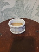 Mała doniczka bonsai biała 8 - 9 cm z podstawka 