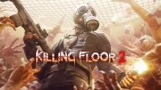 Killing Floor 2 (STEAM)