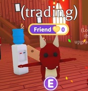 Dragon! |NAJTANIEJ SZYBKO DUŻO POLECEŃ!|Adopt Me|Roblox