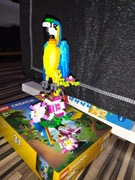 Klocki LEGO kreator papuga31136