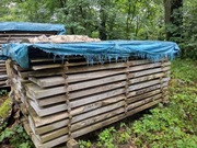 Brusy dębowe, wiązowe i kasztanowe