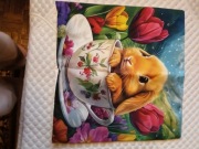 Poszewka na jaśka 45x45