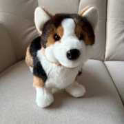 Pies Douglas Tri-Colored Corgi Dog Maskotka Pluszak 
