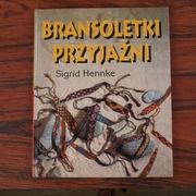 Bransoletki przyjaźni / Indiańskie warkoczyki