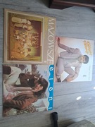 Winylowe plyty stanie bdb