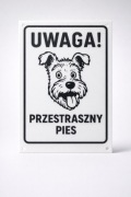 Tabliczka na ogrodzenie UWAGA PRZESTRASZNY PIES 20x13,3cm PETG + 4 trytytki