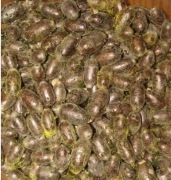 Murarka ogrodowa - kokony 100 sztuk / ostatni czas przed wygryzaniem