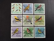 Fi 1570-1578 Ptaki Leśne Rocznik 1966