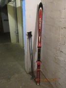 Narty Carve 8 HEAD ,buty Alpina CM5