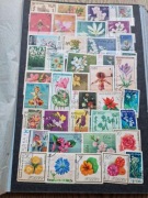 Klaster ze znaczkami