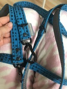 Smycz dla psa z Czech