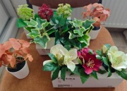 12 szt. mała fejka Ikea doniczka wys. 6 cm - cena za 12 sztuk