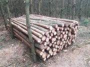 Stemple budowlane , słupki na ogrodzenie