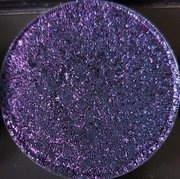 Niebieski smok - Glam Shop - cień multichromowy (używany)